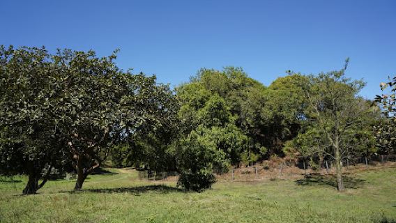 Kaminaljuyu Archaeological Area