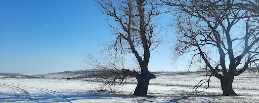 Pohrebeni landscape reserve