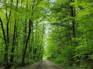 Заказник Коннектикут Хилл