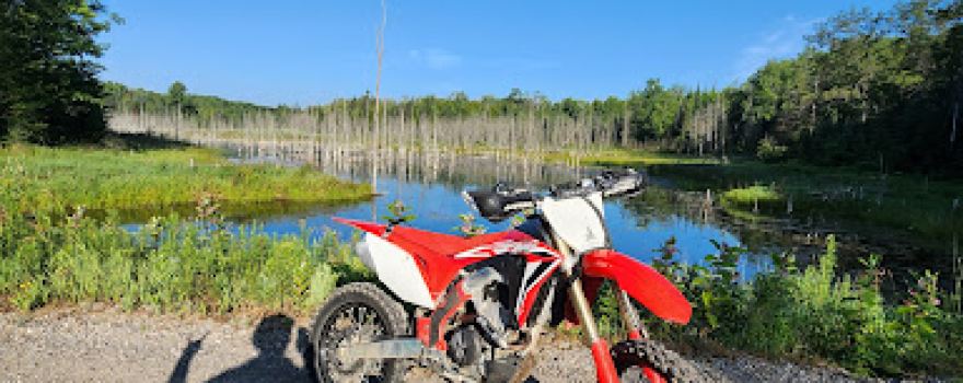 Stout Road Trailhead
