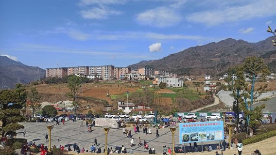 巴山珍稀植物園