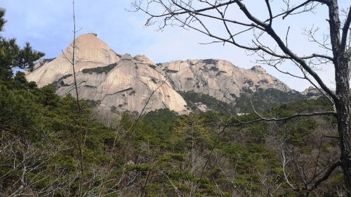 龍吟虎嘯崖