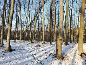 Park Pohulyanka