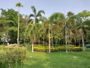 WONDERLAND PARK (K M D A Park)
