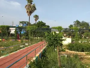 Mathur MMDA park