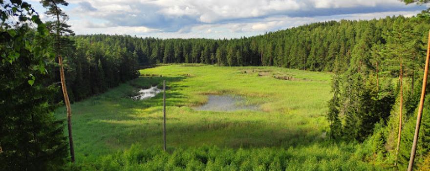 Paplatelė Educational Path