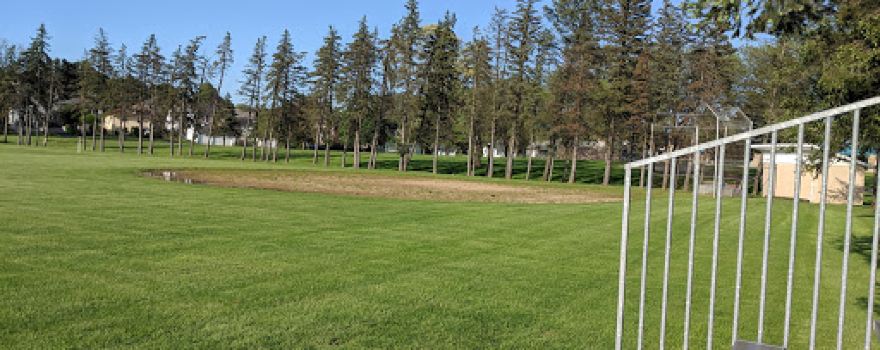 Ciff Cowling Field