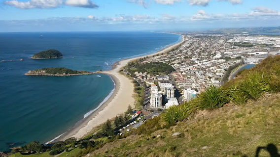 Tauranga