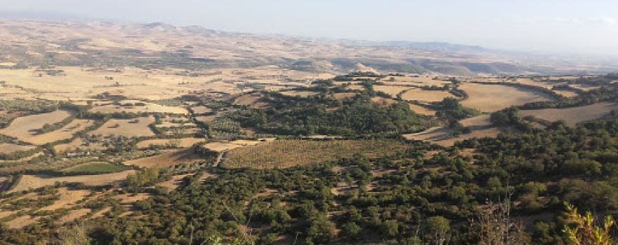 Nuraghe Taro