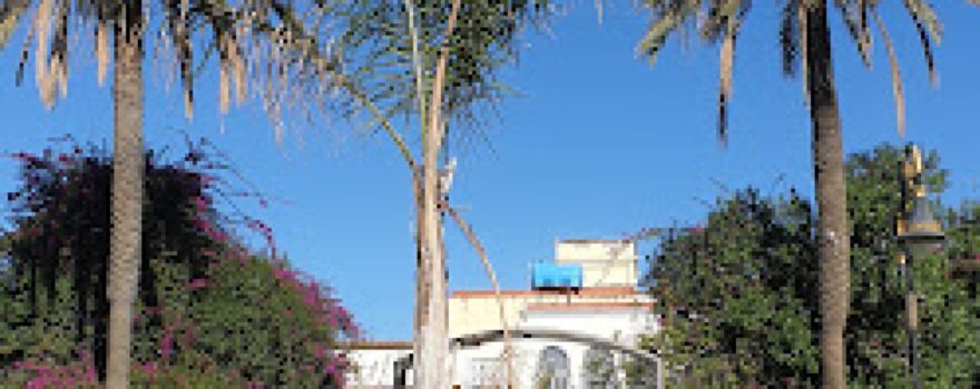 Tahir Garden