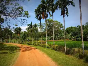 Bataatha Agro Technology and Tourism Park
