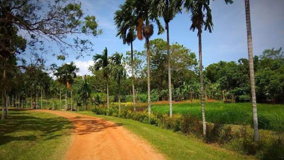 Bataatha Agro Technology and Tourism Park
