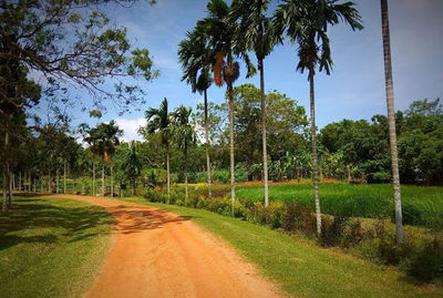 Bataatha Agro Technology and Tourism Park