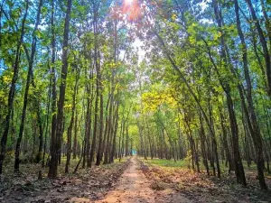 Mithapukur Ecopark