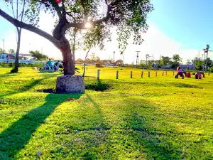 Palos Curuzú Cuatiá