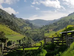 Reserva Verde Esperanza