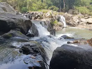Khu Bảo Tồn Thiên Nhiên Ea So