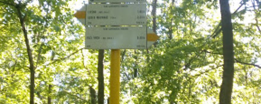 Chabová