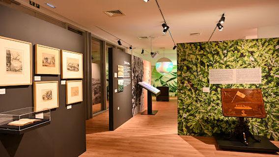 Banana Museum of Madeira (BAM)