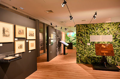 Banana Museum of Madeira (BAM)
