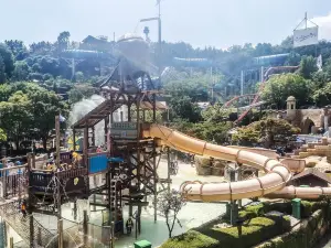 Caribbean Bay