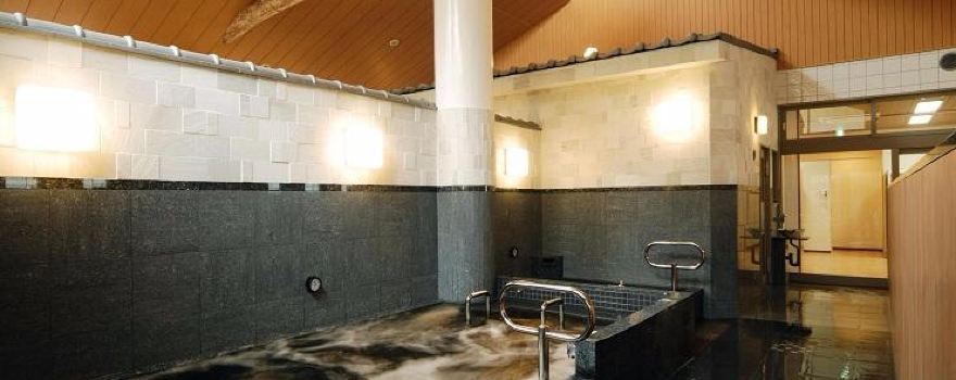 Musashi-Koyama Onsen Shimizu-yu