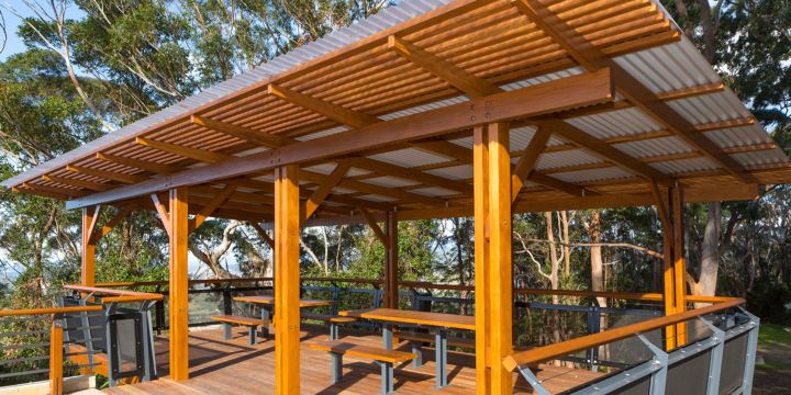 Forest Sky Pier