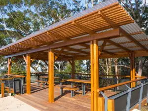 Forest Sky Pier