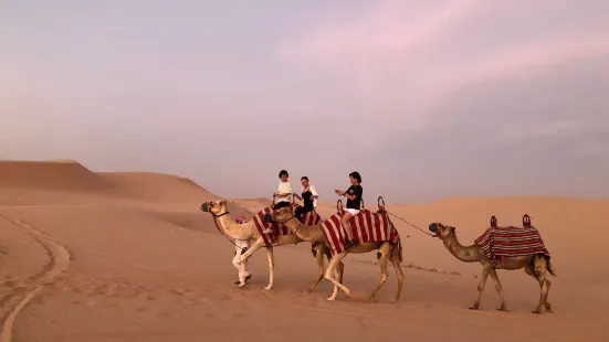 Abu Dhabi Evening Desert Safari