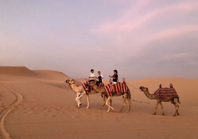 Abu Dhabi Evening Desert Safari
