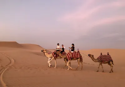 Abu Dhabi Evening Desert Safari
