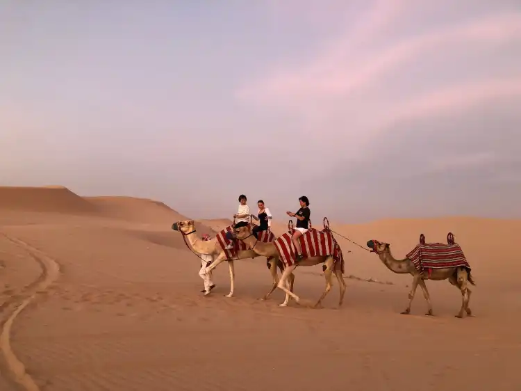 Hotels near Abu Dhabi Evening Desert Safari