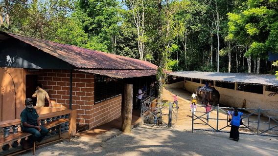 Elephant Junction Thekkady