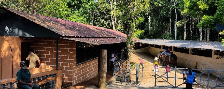 Elephant Junction Thekkady