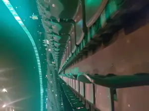 스포르팅 팰리스 FC