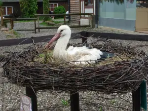 Naturoparc