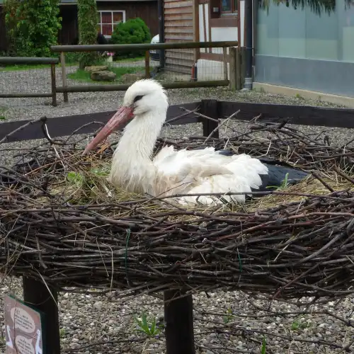 NaturOparC (eg Reintroduction Center)