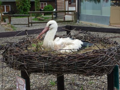 NaturOparC (eg Reintroduction Center)
