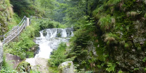 Schwarzwald Hochstrasse