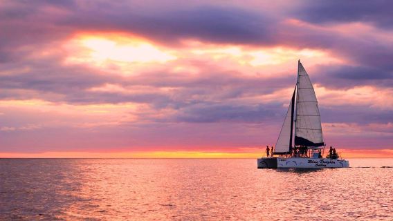 Blue Dolphin Sailing