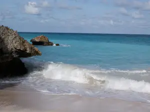 Paynes Bay Beach