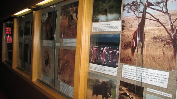 Cumberland Inn & Museum