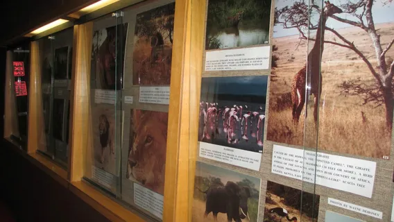 Cumberland Inn & Museum