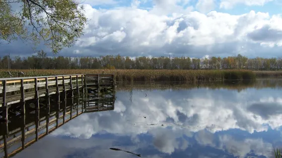 Tifft Nature Preserve