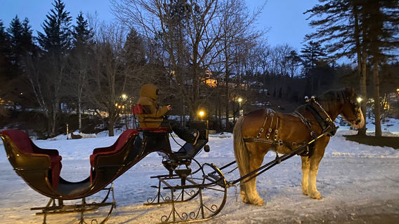 Nestlenook Estate & Resort Sleigh Rides