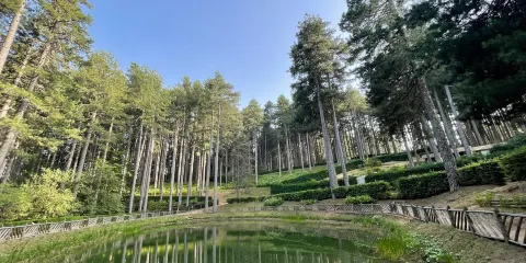 Parco Nazionale della Sila Centro Visitatori di Monaco A. Garcea