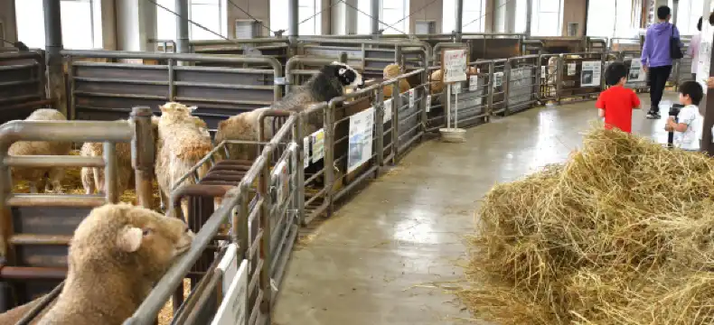 士別市のホテル