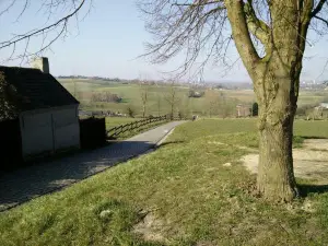 Tour of Flanders