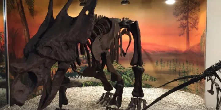 希達利斯基金會古生物博物館