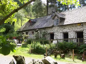 Gilfach Nature Reserve